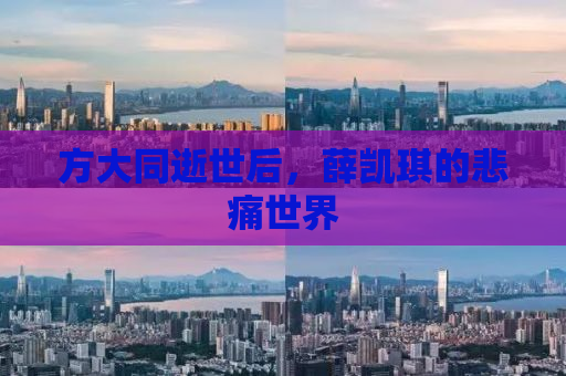 方大同逝世后，薛凯琪的悲痛世界