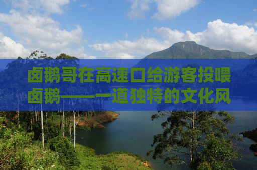 卤鹅哥在高速口给游客投喂卤鹅——一道独特的文化风景与美食体验